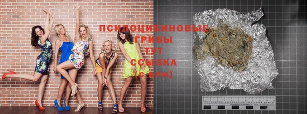 шишки Абдулино