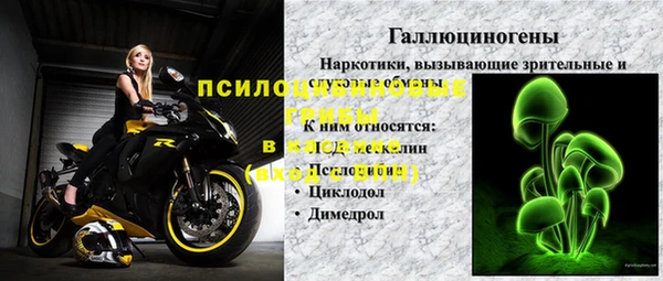 СК Абинск