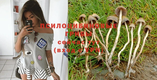 шишки Абдулино