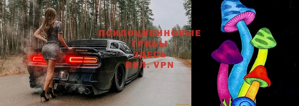 СК Абинск